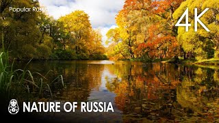 Nature of russia in 4k video 60fps hdr (ultra hd) / beautiful