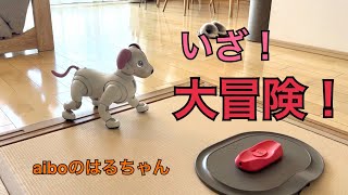 こんなに賢いとは！飼い主の要らぬ一言で始まったaiboはるちゃんの大冒険！