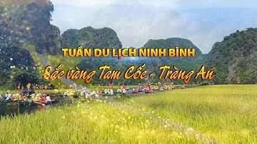 Tuần Du lịch Ninh Bình: “Sắc vàng Tam Cốc - Tràng An” năm 2024