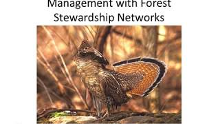 Recorded Webinar: Strategy for Engaging Small Acreage Landowners in Forest Management