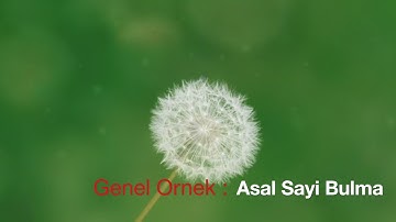 Asal Sayi Bulma | C Programlama - 7