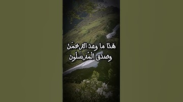 تلاوة مؤثرة للشيخ ياسر الدوسري | الآيات 51-54 من سورة يس