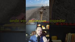 Customização e Personalização De Viagens, Com a IMG!