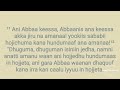 Sababii Amanti Dhabina Isaaniitiif Hojii Aangoo Baay Isee Achitti Hin Hojjenne Mat 13 58