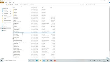 Prototype 2 Windows 10 Crash fix 2021