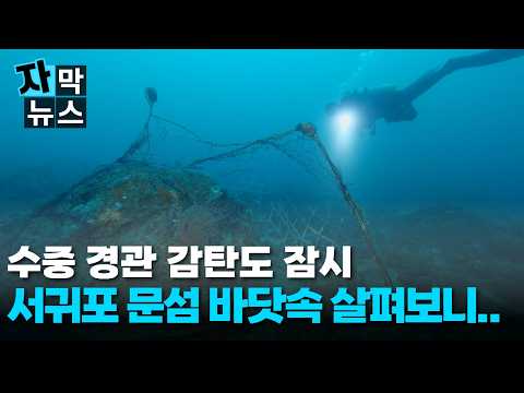 [자막뉴스] 천연기념물 <strong>서귀포</strong> 문섬.. 바닷속 살펴보니