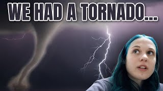 What to do With Rabbits in a Tornado? by 101Rabbits 19,254 views 2 years ago 15 minutes