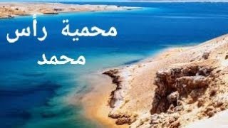 محمية رأس محمد أجمل محميات العالم منطقة التقاء سيدنا موسي بالخضر عليه السلام