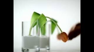 Dove Cream TVC