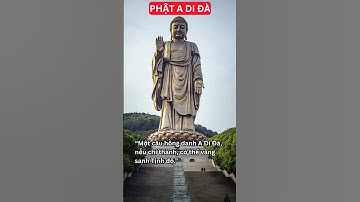 Lời Phật dạy về Phật A Di Đà tây phương cực lạc #lờiphậtdạy #giácngộ #phậtpháp #tỉnhthức #phậtgiáo
