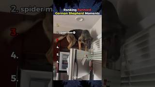Funniest German Shepherds Ever
