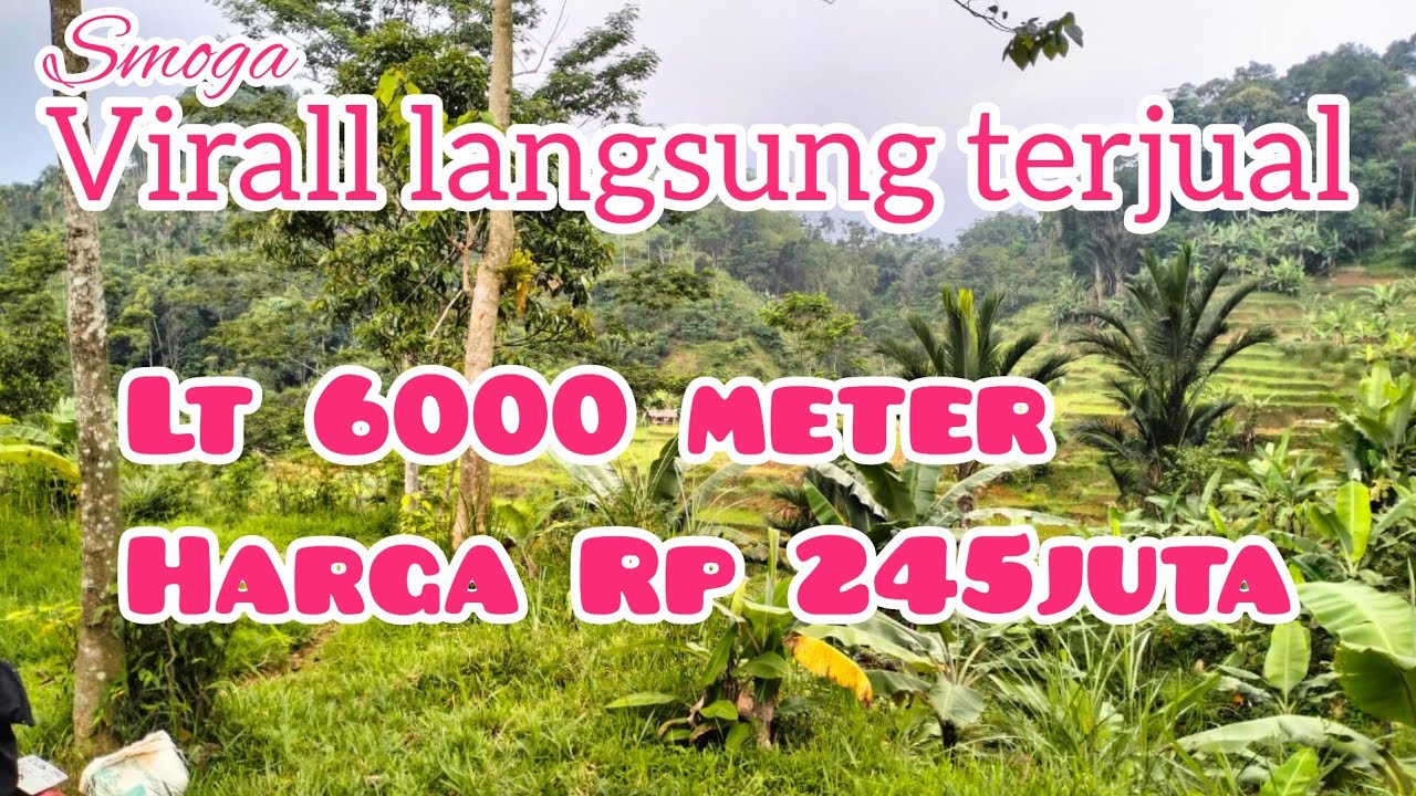 jual-tanah-kebun-murah-lt-6000-meter-245-juta-youtube