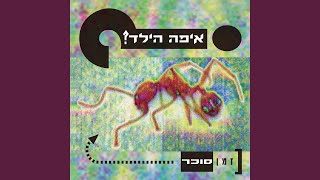 Video thumbnail of "הילד - השמים הגבול (מהדורת ויניל)"