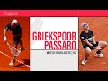 Francesco passaro  tallon griekspoor  rome r64  match highlights ibi24