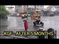 Kgf  after 5 months