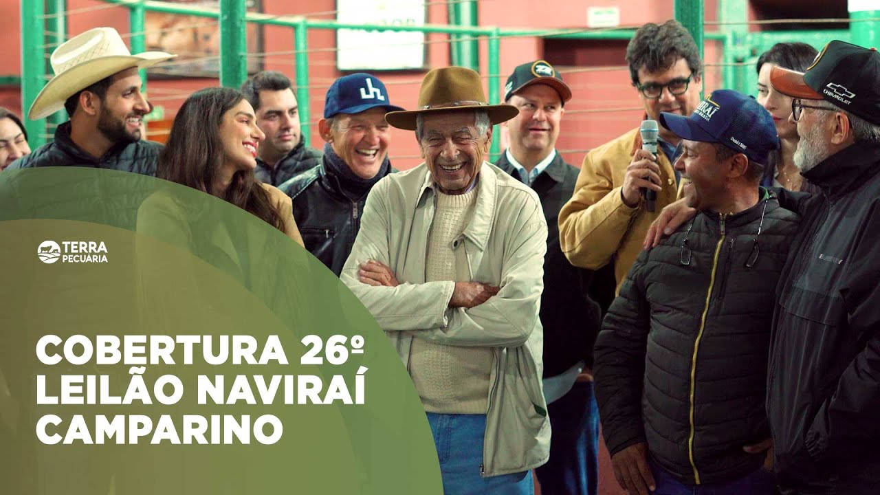 TERRA PECUÁRIA - COBERTURA - 26º LEILÃO NAVIRAÍ CAMPARINO