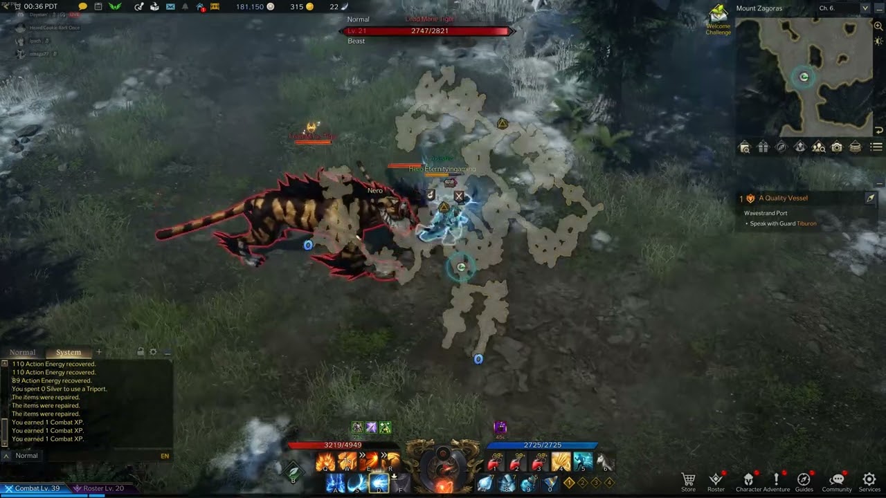 Lead Mane Tiger - Lost Ark - YouTube