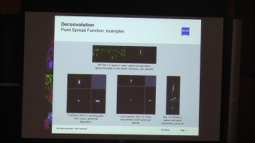 Introduction to Deconvolution in ZEN 2.3