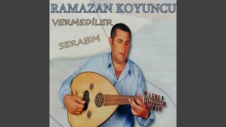 Portakalı Soyamadım