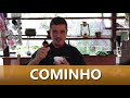 COMINHO Como Usar Esse Tempero DICAS De Receita 