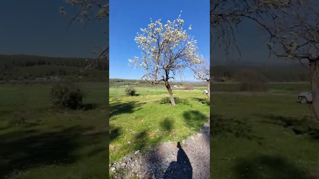 Milas, Çiftlik Mahallesi, parsel gezisi
