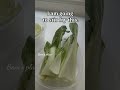 🤯You won&#39;t believe this! How to grow 🥬 Bok Choy 😲You must try!!