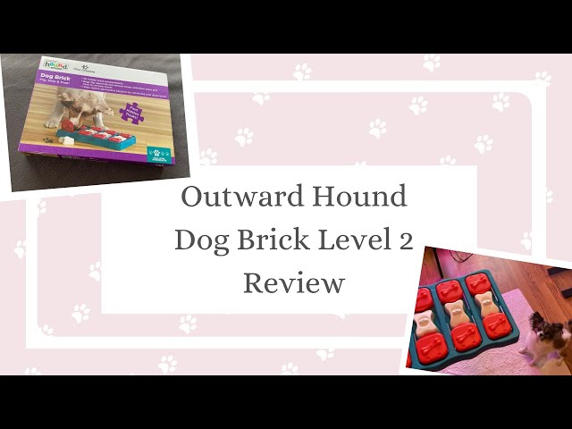 OUTWARD HOUNDS PUZZLE TOY LEVEL 2 DOG BRICK