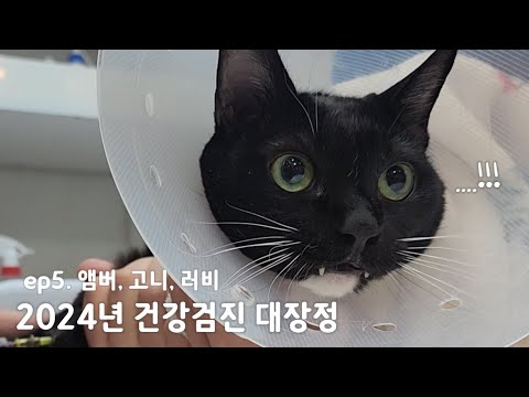 <strong>앰버</strong>, 고니, 러비 (ft. 힝구곤대)