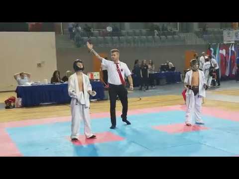 Ashihara Karate Ukraine. Ukrainian Ashihara Karate team at the World Championship 2018