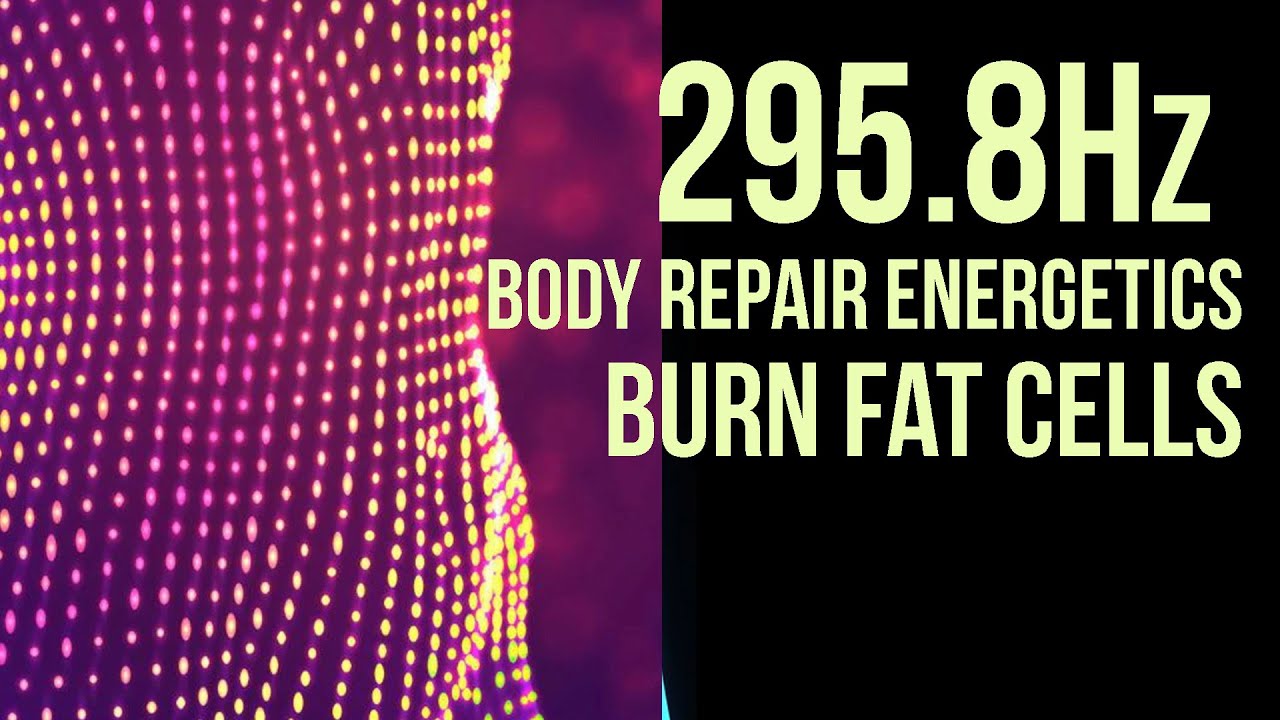 295.8 Hz Body Repair Burn Fat Cells YouTube