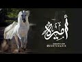شيلة مدح باسم اميرة جديد حماسي 2025 جتكم اللي عنقها مثل الغزال شيلة باسم اميرة دخيل العنزي