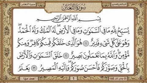 سورة التغابن للشيخ حسن صالح