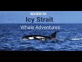 Review of Icy Strait Whale Adventures Excursion. Mp3 Song