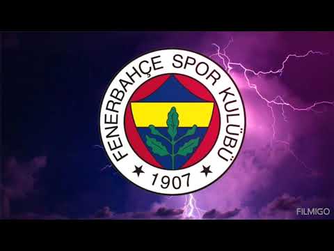 Fenerbahçe:FB 1907 💛💙