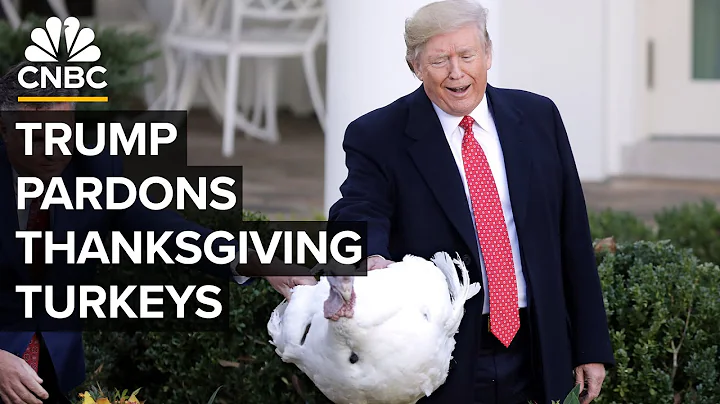 President Trump pardons Thanksgiving turkeys at annual White House ceremony — 11/25/2025