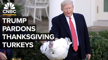 President Trump pardons Thanksgiving turkeys at annual White House ceremony — 11/25/2025