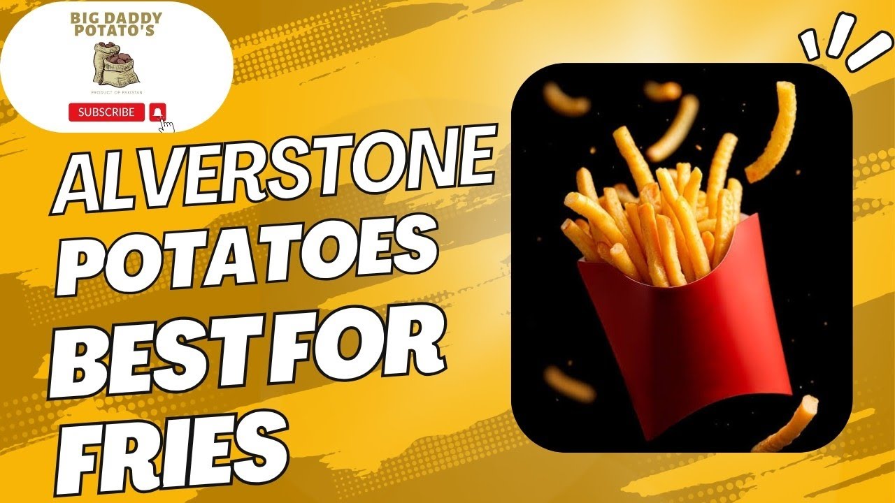 Alverstone Potatoes | Best For Fries  | Potato Fries | Potato Farming |