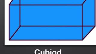 Cuboid- Cuboid facts for kids
