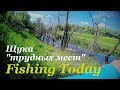 ДИКАЯ ЩУКА в корягах - Fishing Today