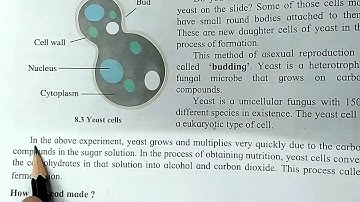 8. Useful & Harmful Microbes 9th Science I Yeast I SSC Maharashtra State Board