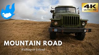 Iceland Walking Tour - Reynisfjall [4K]