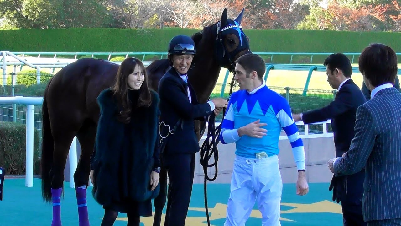 榎本加奈子の動画 画像 動画検索 マイルドサイト