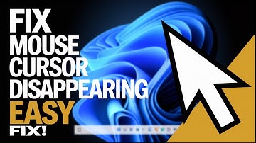 Mouse Cursor or Pointer Disappears in Windows 11? Here