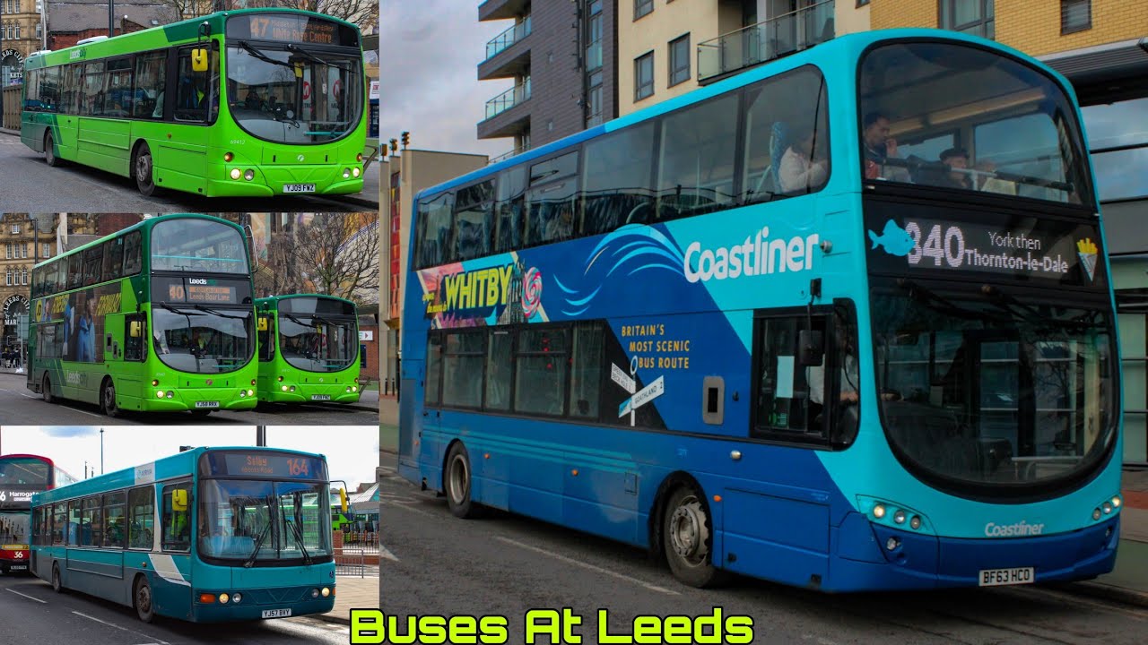 Buses At Leeds