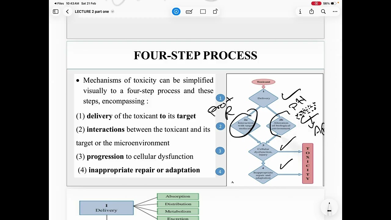 General toxicology lec 2 part1-1