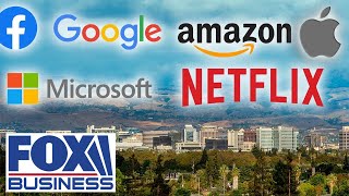 Big Tech chiefs spend big on Democrats: Report