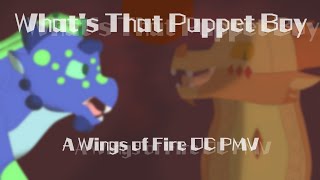 || What&#39;s That Puppet Boy || Wings of Fire OC PMV ||