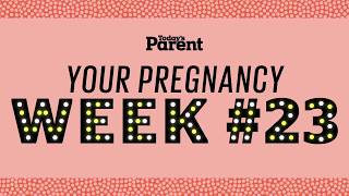 Your pregnancy: 23 weeks by Today's Parent 294,755 views 4 years ago 2 minutes, 54 seconds