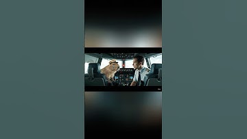 Capybara cứu mọi người khỏi máy bay sắp nổ #trending #funny #capybara #ytshorts