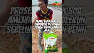 TEST PLOT PADI TAAVEEKUN 1